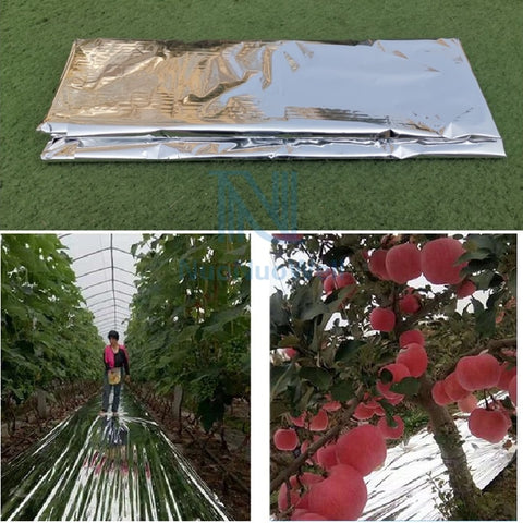 100cm Width Silver Garden Vegetable Membrane Orchard Apple Trees Plants Color Mulching Greenhouse Double Sides Mylar Reflex Film