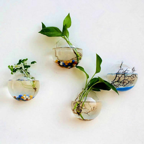 Garden Supplies Home Hanging Glass Ball Vase Flower Planter Pots Terrarium Container Hanging Flower Pot Home Garden Decoration