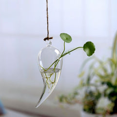 Garden Supplies Home Hanging Glass Ball Vase Flower Planter Pots Terrarium Container Hanging Flower Pot Home Garden Decoration