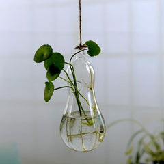 Garden Supplies Home Hanging Glass Ball Vase Flower Planter Pots Terrarium Container Hanging Flower Pot Home Garden Decoration