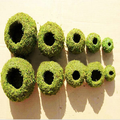 Succulent Flowerpot  Moss Home Furnishing Pots  Moss Vase Micro Landscape Gardening Moss Ball Pot DIY Material Home Decoration