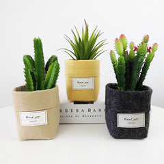 New Khaki Grey Black Yellow Plant Grow Bag Home Decorations Desktop Flower Basket Fleshy Pot Thicken Garden Pot Garden Supplies