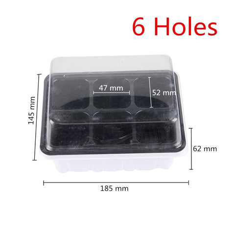 6-holes