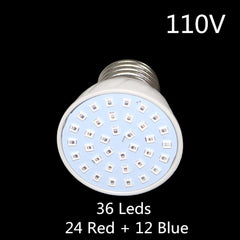 220V/110V 3W Plant growth Light Garden Grow box Flower seedling Plant pot  Nursery Fill Light Indoor Plant Lamp 1 Pcs