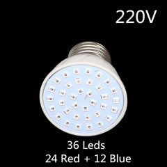220V/110V 3W Plant growth Light Garden Grow box Flower seedling Plant pot  Nursery Fill Light Indoor Plant Lamp 1 Pcs