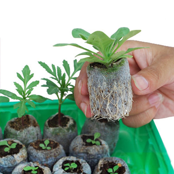 NURSERY Peat Pellets Jiffy Plant Seedling Starting Soil Block Home Transplanting Plugs for home Garden  30mm