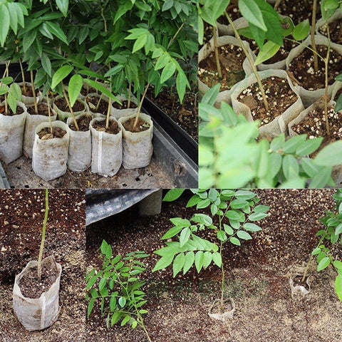 100Pcs 8*10cm Non Woven Nursery Pots Seedling Raising Bags Planting Grow Bag Environmental Protection Fabric Pot Garden Supplies