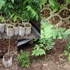 100Pcs 8*10cm Non Woven Nursery Pots Seedling Raising Bags Planting Grow Bag Environmental Protection Fabric Pot Garden Supplies