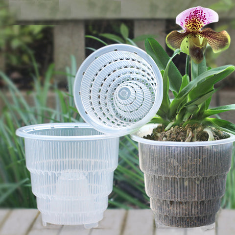 5/6/7 Inch Mesh Pot PP Clear Orchid Flower Container Durable Fleshy Planter Flower Pot with Holes Home Gardening Decoration Gift