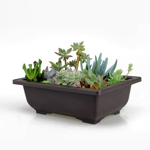 High-quality Garden Pots Flower Planters Pot Imitation  Balcony Square Pots Flower Bonsai Bowl Planter Rectangle Bonsai new