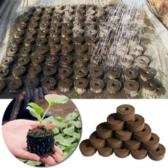 10pcs 30mm Professional Peat Pellets Plant Starting Soil Block Jiffy Seedling Plugs Environmental Garden Nursery Transplanting