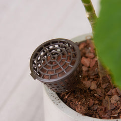 Newest 10pcs/set Fertilizer Lid Bonsai Planting Basket Gardening Supplies Garden Nursery Automatic Fertilization Fertilizer Box