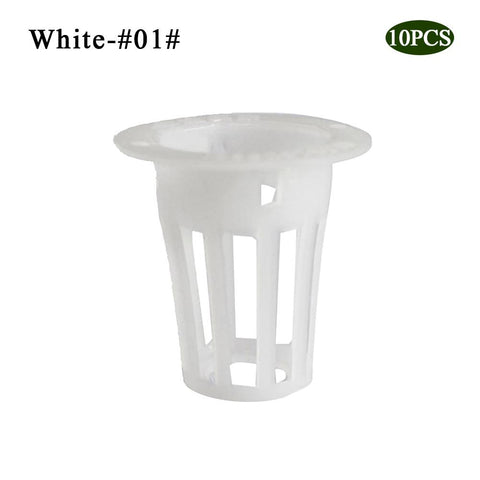1white