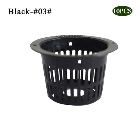 3black