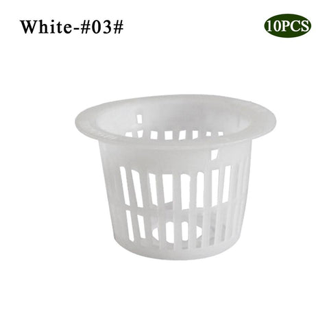 3white