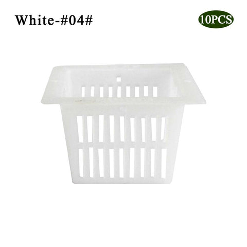 4white
