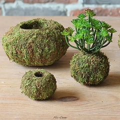 Moss Ball Pot Bird Nest Flower Plant Home Office Desk Table Garden DIY Decoration