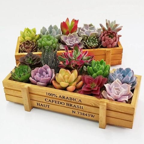 Garden Plant Pot Decorative Vintage succulent planter Wooden Boxes Crates Rectangle Table Flower Pot Gardening Device