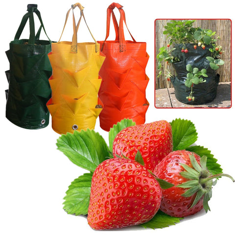 Multi Flower Pot Pocket Stawberry Bag Nursery Pot Foldable Container Grow Planter Pouch Root Planter Garden Accessories Maceta