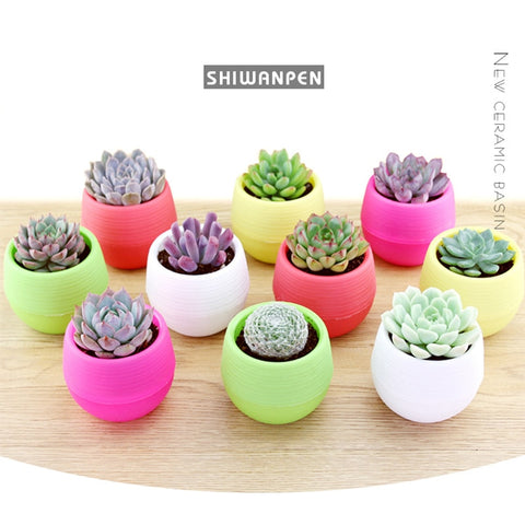 Colourful Flower Pots Home Office Decor Mini Flower Pot Garden Unbreakable Plastic Nursery Pots for Succulent Planters Wholesale