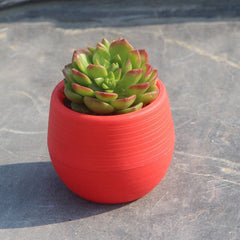 Colourful Flower Pots Home Office Decor Mini Flower Pot Garden Unbreakable Plastic Nursery Pots for Succulent Planters Wholesale